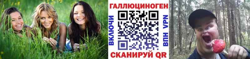 Псилоцибиновые грибы ЛСД  магазин    Кизляр 