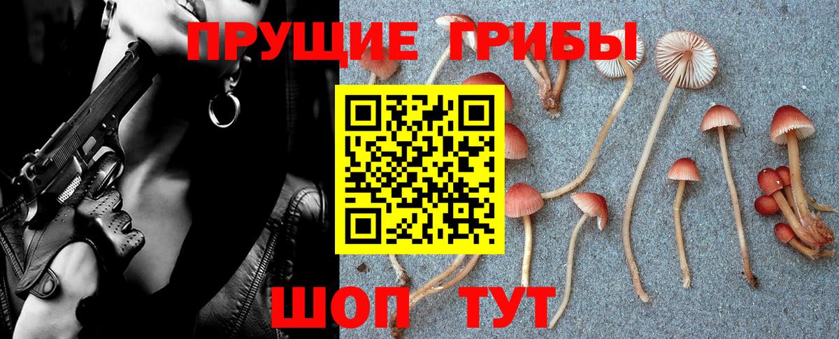 цена наркотик  Вход с VPN  Кизляр  Псилоцибиновые грибы мицелий 