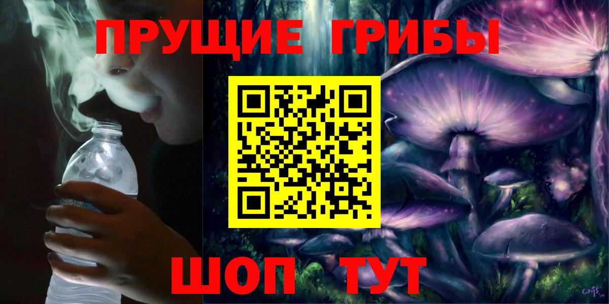 Галлюциногенные грибы Psilocybine cubensis Кизляр
